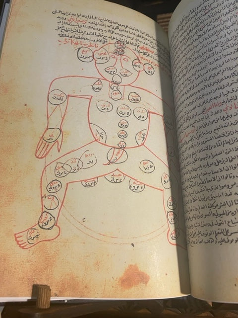 الوشي المصون Enshrined Squealing