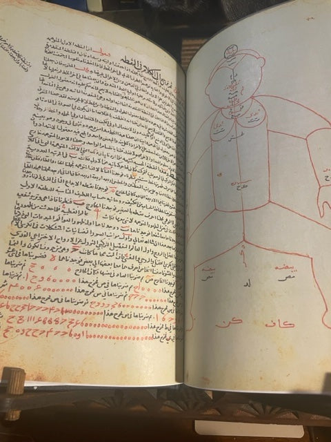 الوشي المصون Enshrined Squealing