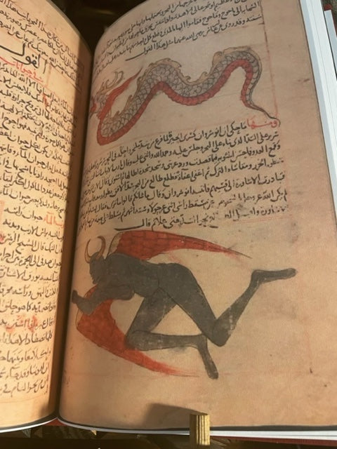 Creation Obscura عجايب المخلوقات وغرائب الموجودات