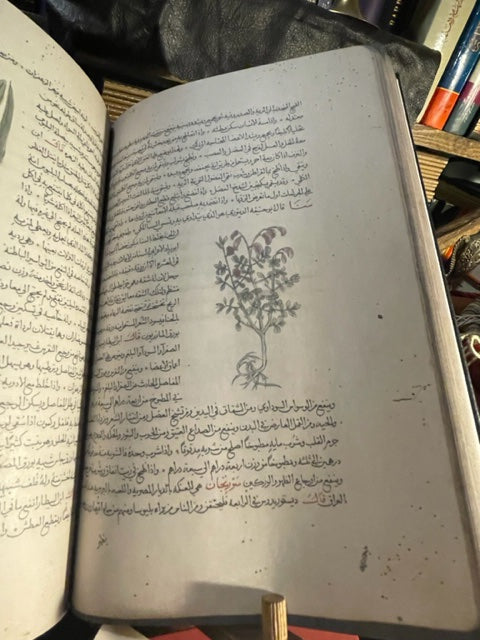 مسالك الابصار وممالك الامصار Masālik Al Abṣār fī Mamālik Al Amṣār