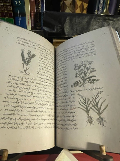 مسالك الابصار وممالك الامصار Masālik Al Abṣār fī Mamālik Al Amṣār