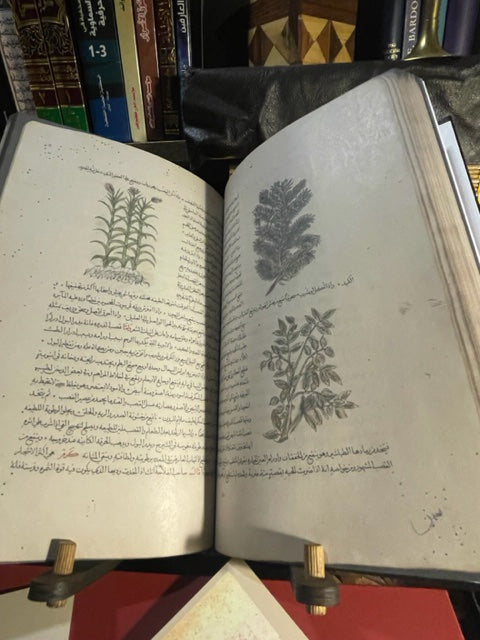 مسالك الابصار وممالك الامصار Masālik Al Abṣār fī Mamālik Al Amṣār