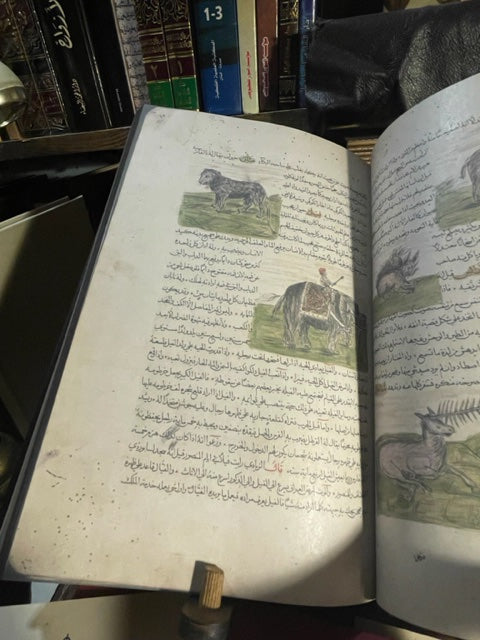 مسالك الابصار وممالك الامصار Masālik Al Abṣār fī Mamālik Al Amṣār