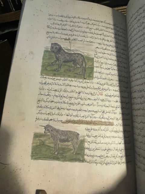 مسالك الابصار وممالك الامصار Masālik Al Abṣār fī Mamālik Al Amṣār